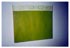 Lot 060