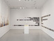 installation_view.jpg