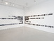wdall2010.jpg